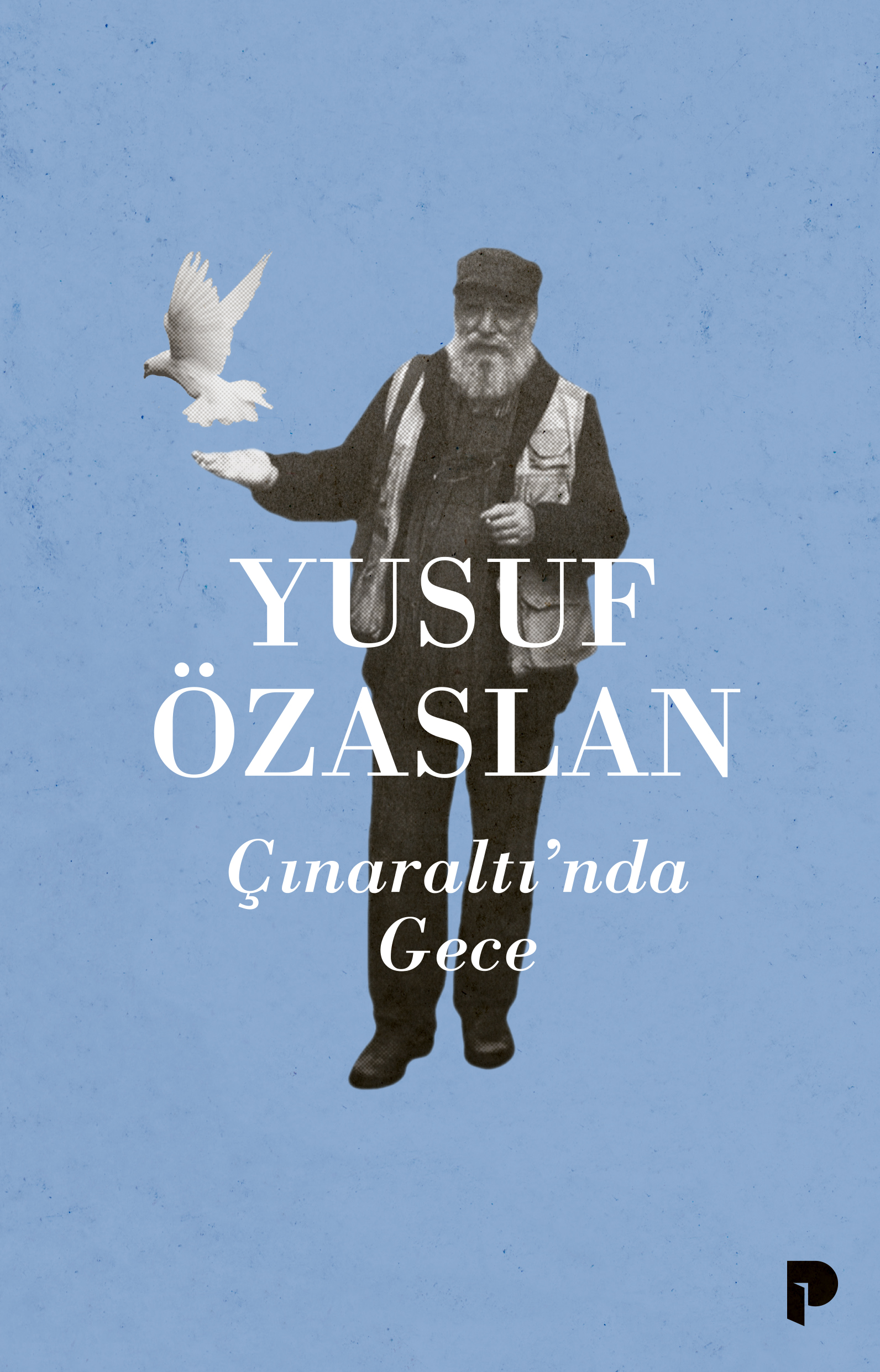 Çınaraltı'nda Gece